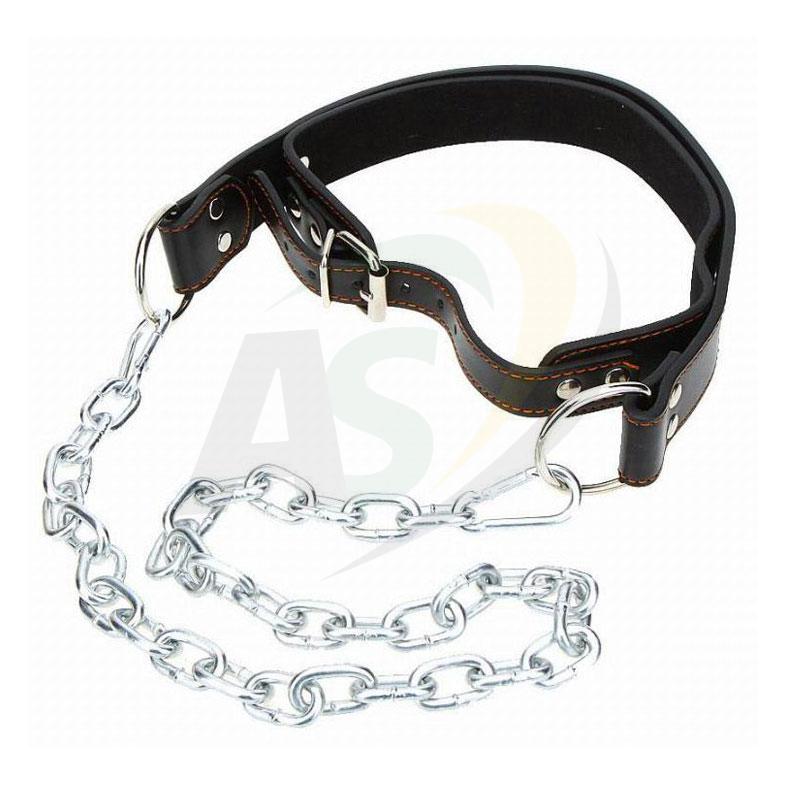Head Harness