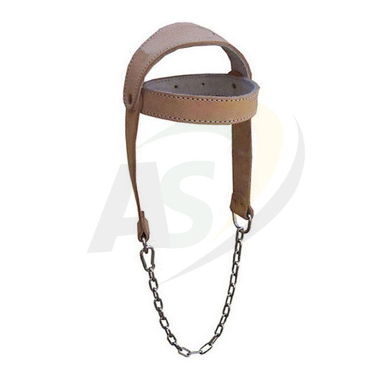 Head Harness