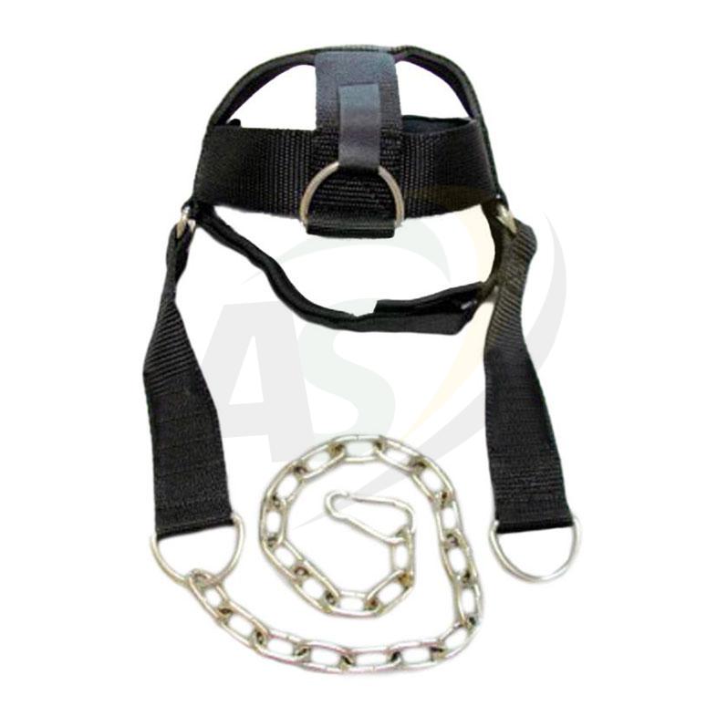 Head Harness